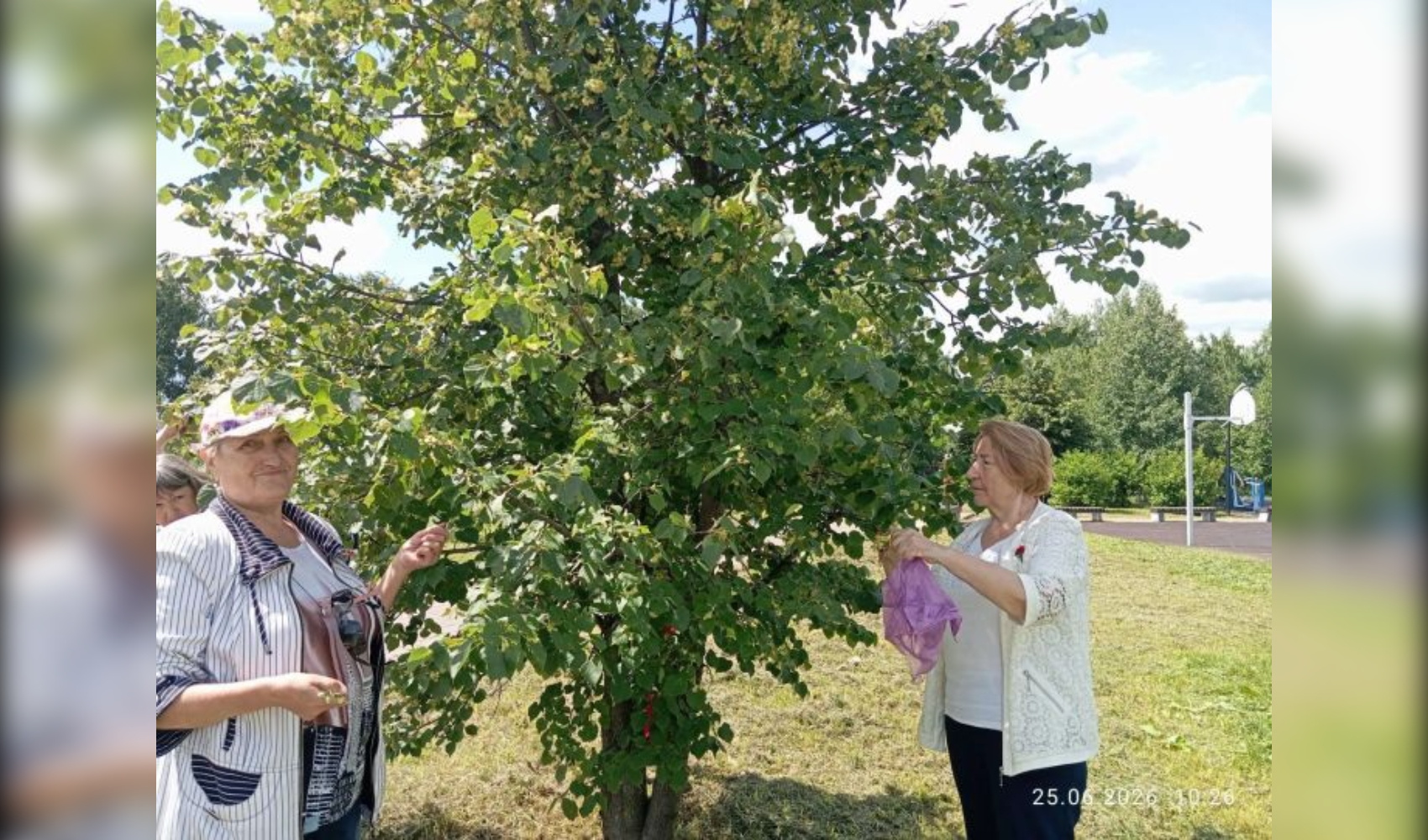 Аромат лета для защитников: в Нурлате заготовили липовый чай для бойцов