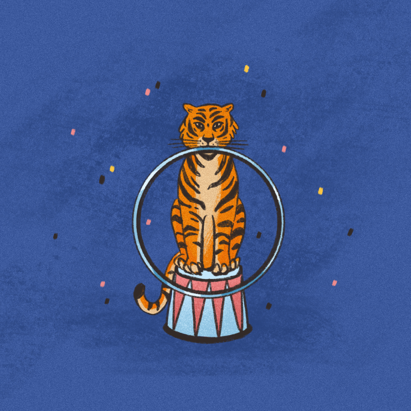 "Королева тигров" 