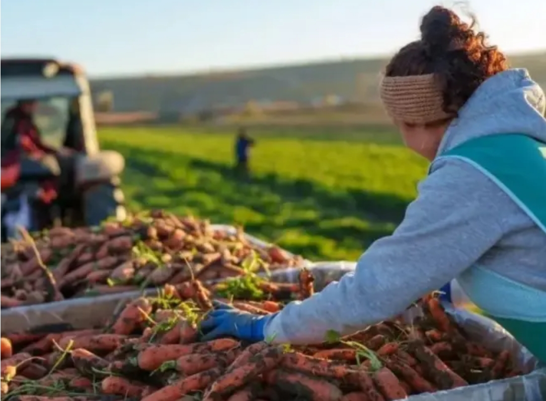 РСХБ: 53% предпринимателей в производстве пищевых продуктов — женщины РСХБ: 53% предпринимателей в производстве пищевых продуктов — женщины