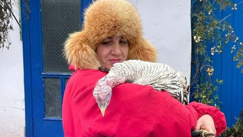 Социальный контракт помог валуйчанке Наталье Шматовой построить успешное подсобное хозяйство