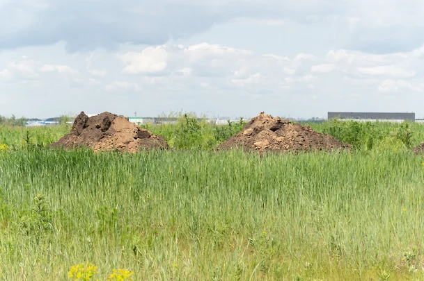 На Дону матери-героини получат право на бесплатные земельные участки