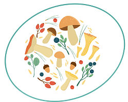 «Тихая охота». Советы и рекомендации грибникам